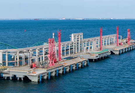 四航院总承包的中科合资广东炼化一体化项目液化烃码头工程竣工验收